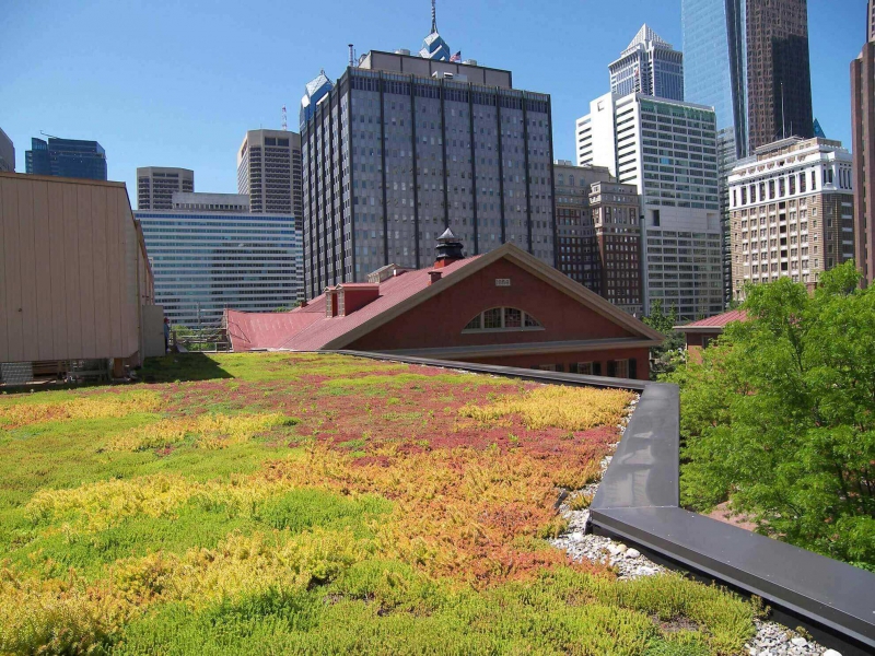 paysagiste-CHATEAUDOUBLE-min_green-roof-portfolio-4